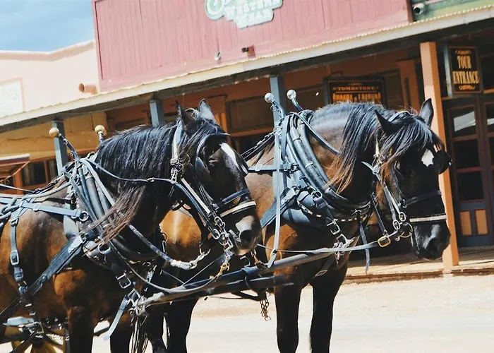 Silver Spur Homestead Luxury Glamping - The Cowboy