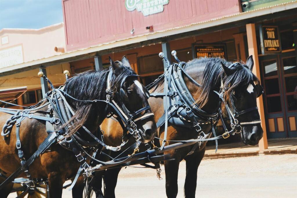 Luxuszelt Silver Spur Homestead Luxury Glamping - The Cowboy
